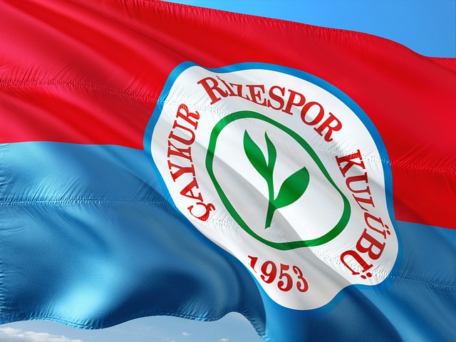 双重影响力 双重影响力