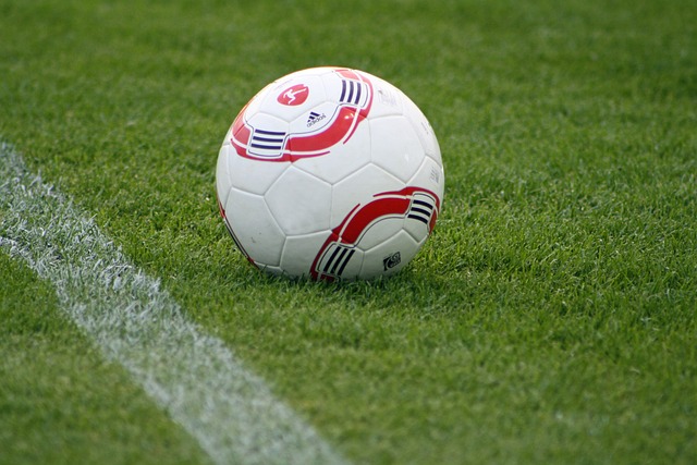 医学研究显 医学研究显