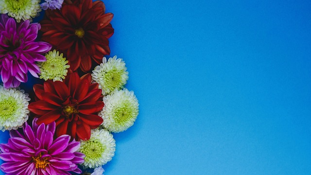 以保障交易 以保障交易